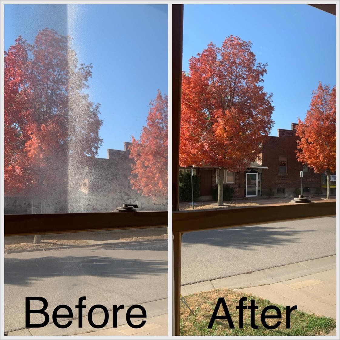 Solar Panel Cleaning - After